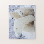 Ijsberen en twee welpen legpuzzel (Verticaal)