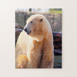 IJsberen. Legpuzzel