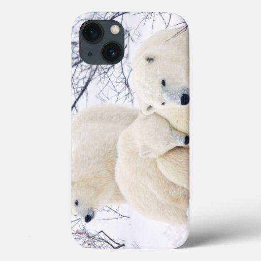IJsberen vrouwtje en twee welpen Case-Mate iPhone Case (Achterkant)