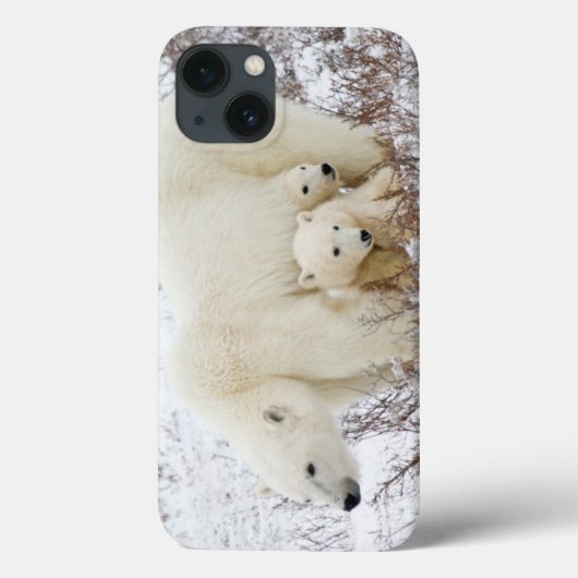 IJsberen vrouwtje en twee welpen Case-Mate iPhone Case (Achterkant)