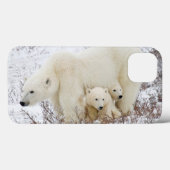 IJsberen vrouwtje en twee welpen Case-Mate iPhone Case (Achterkant (horizontaal))