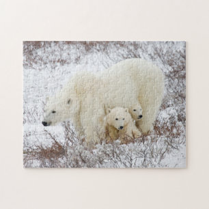 IJsberen vrouwtje en twee welpen Legpuzzel