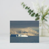 Ijsberg in het begin van de Drake Passage net Briefkaart (Staand voorkant)