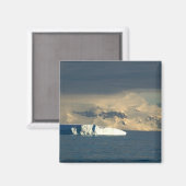 Ijsberg in het begin van de Drake Passage net Magneet (Voorkant / Achterkant)