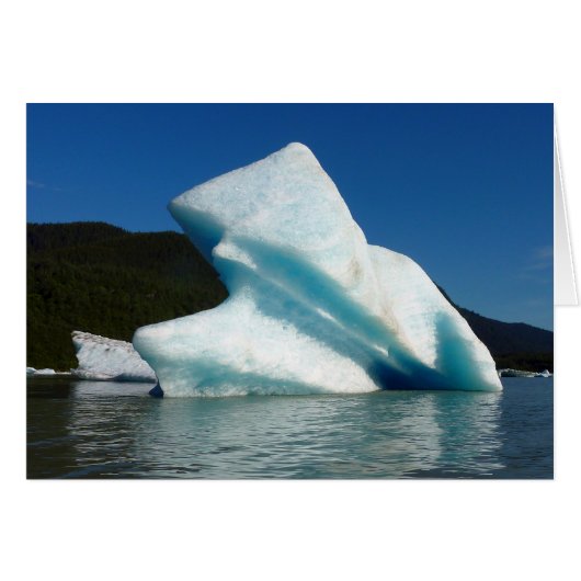 Ijsberg op Mendenhall Lake in Alaska (Voorkant Horizontaal)