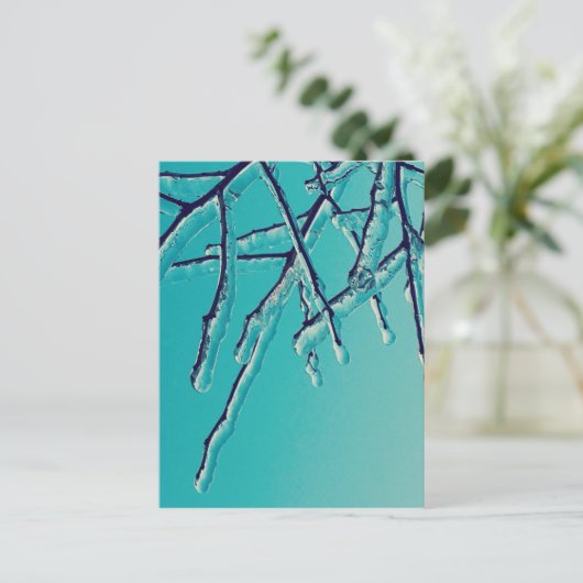 ijsbijkantoren briefkaart (Staand voorkant)