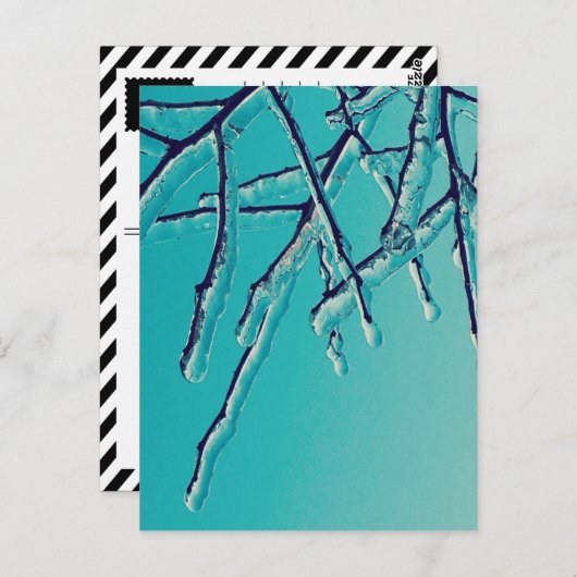 ijsbijkantoren briefkaart (Voorkant / Achterkant)