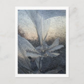 ijsbloem briefkaart (Voorkant)