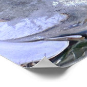 Ijsbloemen,  poster (Hoek)