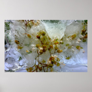 Ijsbloemen,  poster