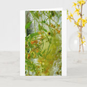 ijsbloesems, kaart (Gele Bloem)