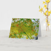 ijsbloesems, kaart (Gele Bloem)