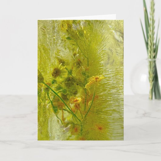 ijsbloesems, kaart (Voorkant)