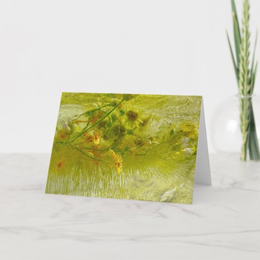 ijsbloesems, kaart (Voorkant)