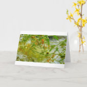 ijsbloesems, kaart (Gele Bloem)