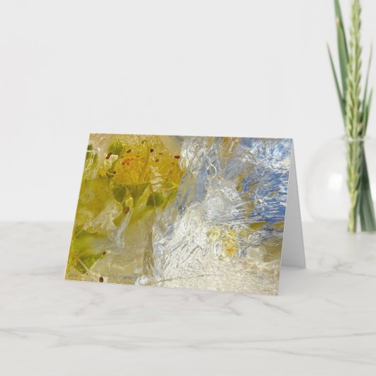 ijsbloesems, kaart (Voorkant)