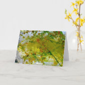 ijsbloesems, kaart (Gele Bloem)