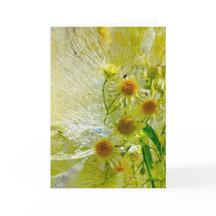 ijsbloesems,