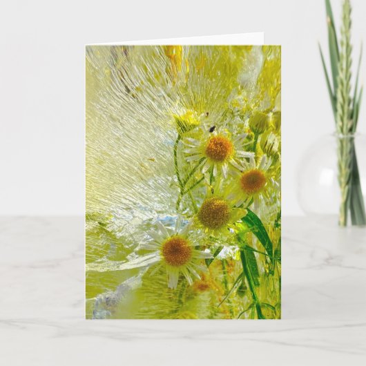 ijsbloesems, kaart (Voorkant)