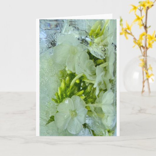 ijsbloesems, kaart (Gele Bloem)