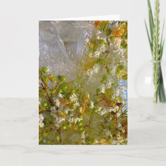 ijsbloesems, kaart (Voorkant)