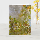 ijsbloesems, kaart (Gele Bloem)