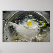 Ijsbloesems, poster (Voorkant)