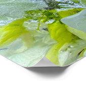 ijsbloesems, poster (Hoek)