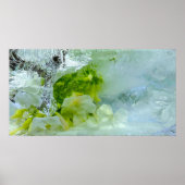 ijsbloesems, poster (Voorkant)