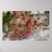 ijsbloesems, poster (Voorkant)