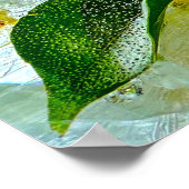 ijsbloesems, poster (Hoek)