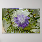 Ijsbloesems, poster (Voorkant)