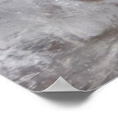 ijsbloesems, poster (Hoek)