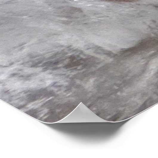 ijsbloesems, poster (Hoek)