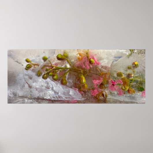 ijsbloesems, poster (Voorkant)