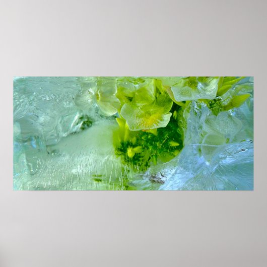 ijsbloesems, poster (Voorkant)