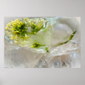 ijsbloesems, poster (Voorkant)