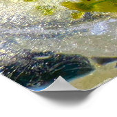 ijsbloesems, poster (Hoek)