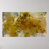 ijsbloesems, poster (Voorkant)