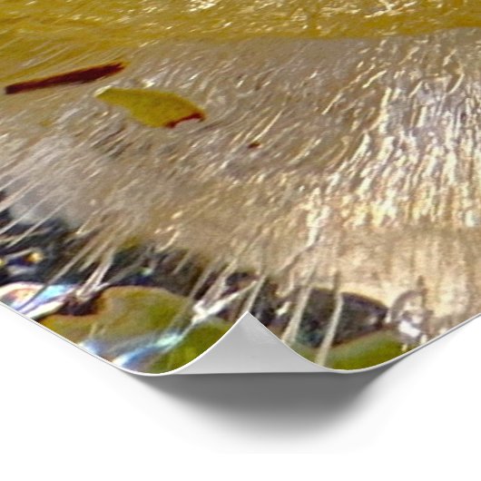 ijsbloesems, poster (Hoek)