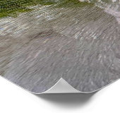 ijsbloesems, poster (Hoek)