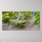 ijsbloesems, poster (Voorkant)