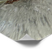 ijsbloesems, poster (Hoek)