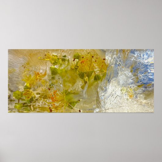 ijsbloesems poster (Voorkant)