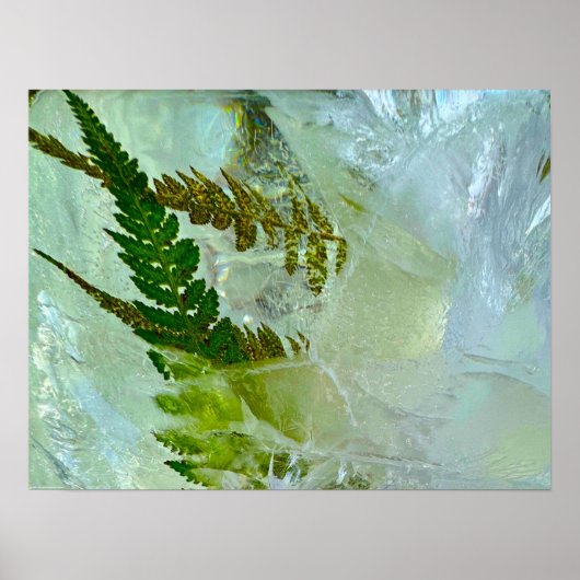 ijsbloesems, poster (Voorkant)