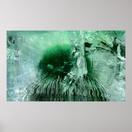 ijsbloesems, poster (Voorkant)