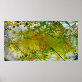 ijsbloesems, poster (Voorkant)