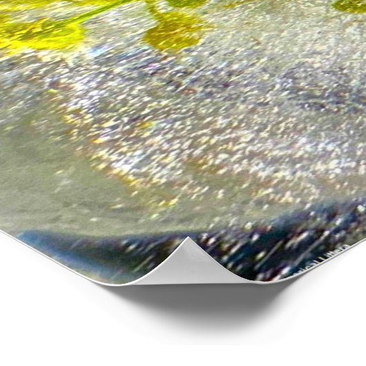 ijsbloesems, poster (Hoek)