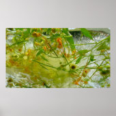 ijsbloesems, poster (Voorkant)