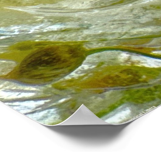 ijsbloesems, poster (Hoek)